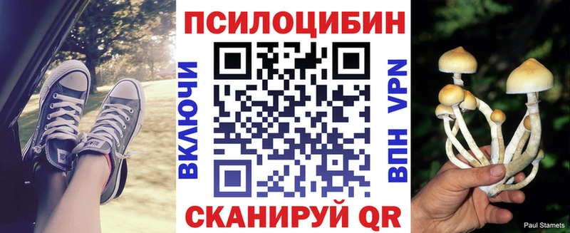 Купить где  Дивногорск  Галлюциногенные грибы Cubensis 